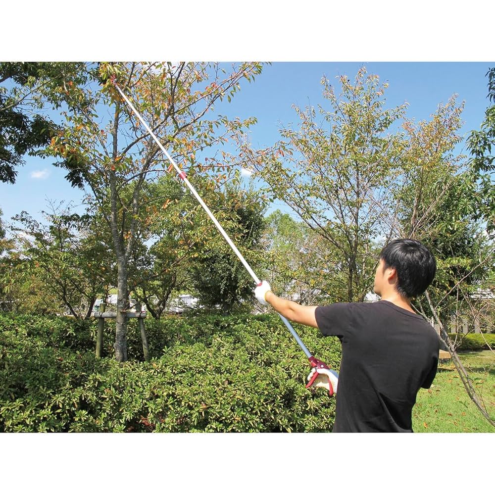 Amazon | pa-man 軽量高枝切り鋏 標準刃 5段階伸縮 1.8～3m